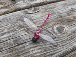 Dragonfly Clip - Abbie's Natural Skin Care Products