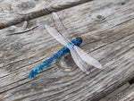 Dragonfly Clip - Abbie's Natural Skin Care Products