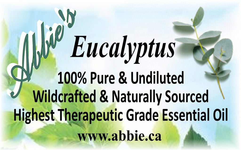 Eucalyptus Essential Oil 15ml - Abbie's Natural Skin Care Products