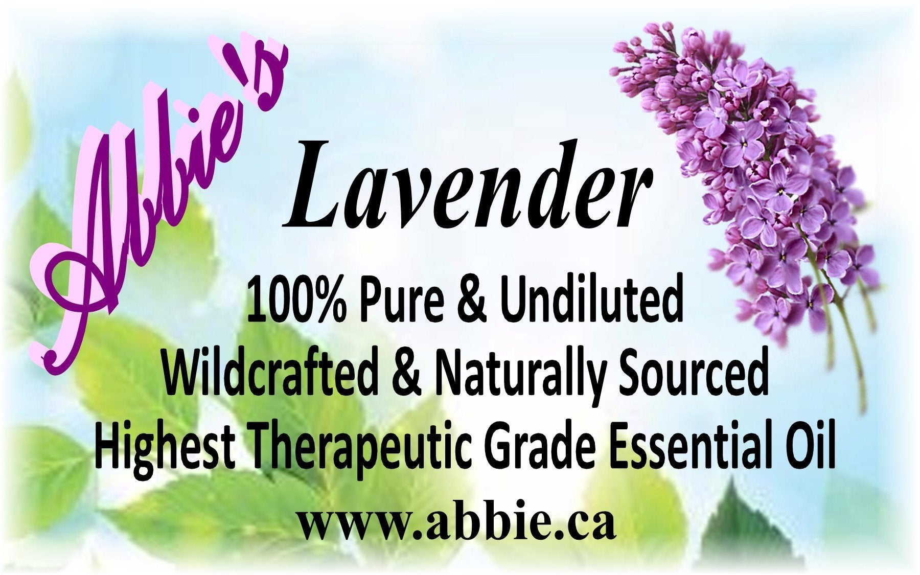Lavender Essential Oil 15ml - Abbie's Natural Skin Care Products